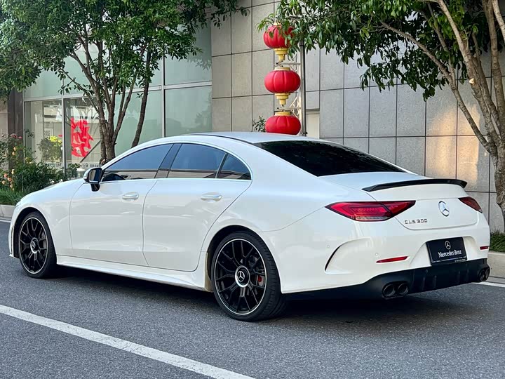 Mercedes-Benz CLS 2021 CLS 300 Luxury — фото 8