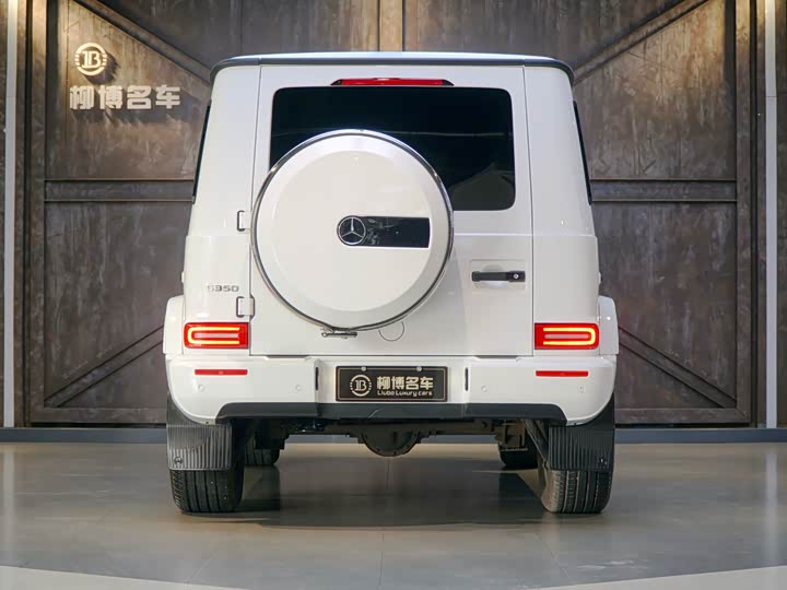 Mercedes-Benz G-Class 2024 G 350 — фото 3