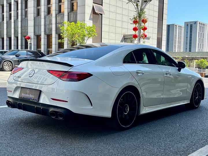 Mercedes-Benz CLS 2021 CLS 300 Luxury — фото 9