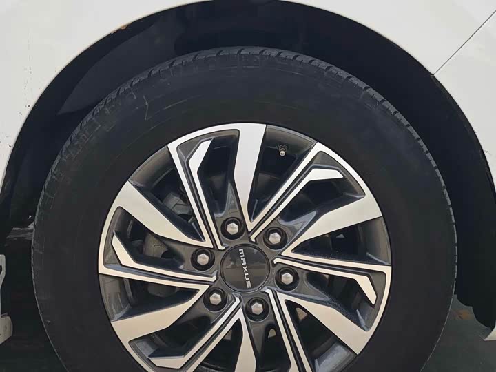Maxus G20 2023 PLUS 2.0 T AT — фото 21