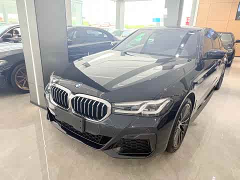 BMW 5-Series 2021 530 Li Leading M — фото 11