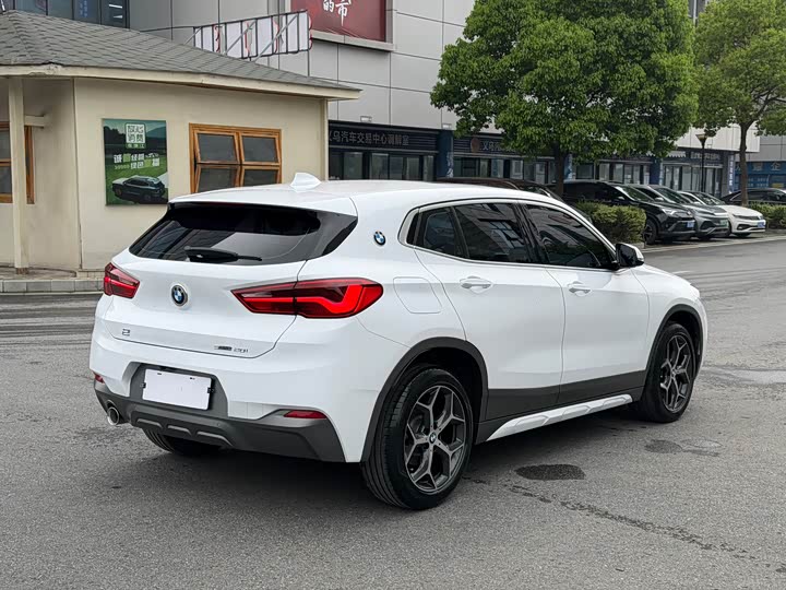 BMW X2 2019 s Drive 20i M VI — фото 4