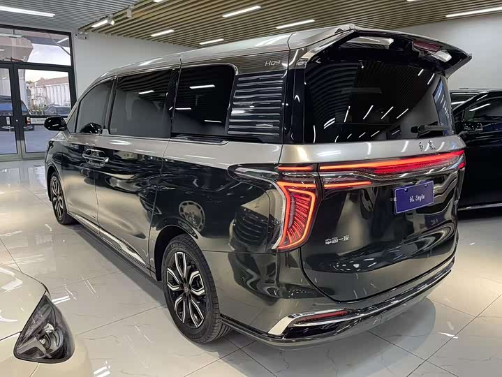 Hongqi HQ9 2023 2.0 T — фото 4