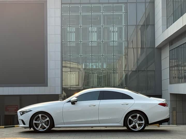 Mercedes-Benz CLS 2018 CLS 300 — фото 10