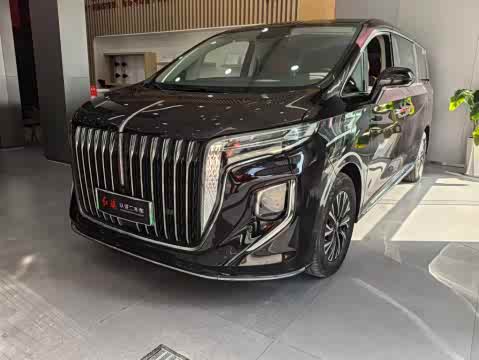 Hongqi HQ9 PHEV 2024 2.0 T 4 WD — фото 20