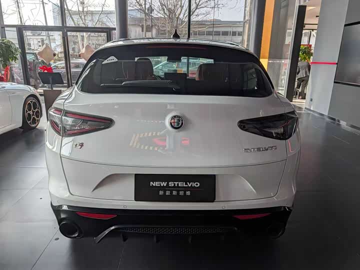 Alfa Romeo Stelvio 2023 2.0 T 280 HP Veloce — фото 8