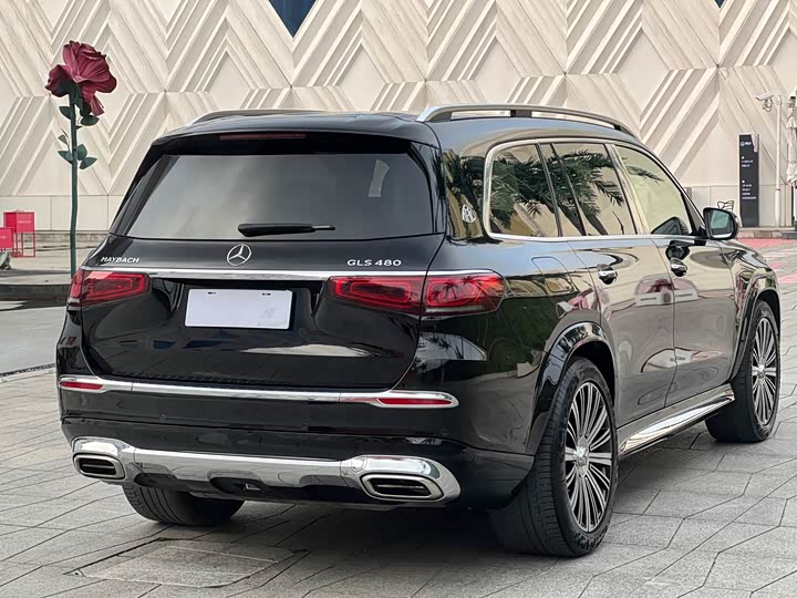 Maybach GLS 2021 GLS 480 4 MATIC — фото 6