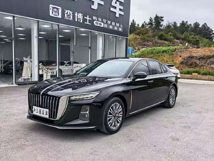 Hongqi H5 2023 1.5 T DCT — фото 17