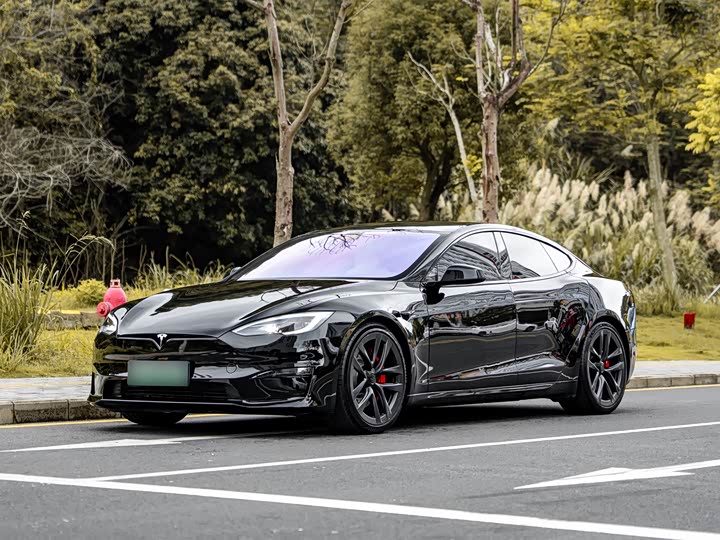 Tesla Model — фото 1