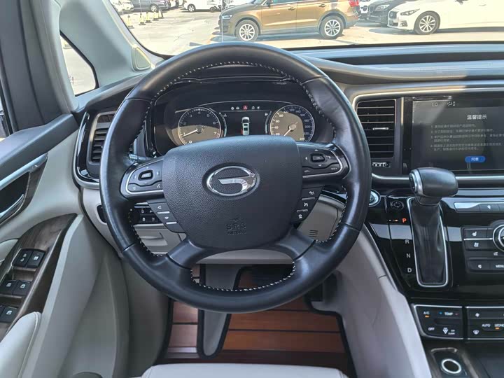 Trumpchi M8 2018 320 T — фото 16