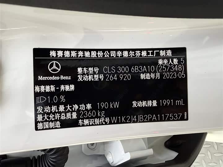 Mercedes-Benz CLS 2023 CLS 300 Luxury — фото 19