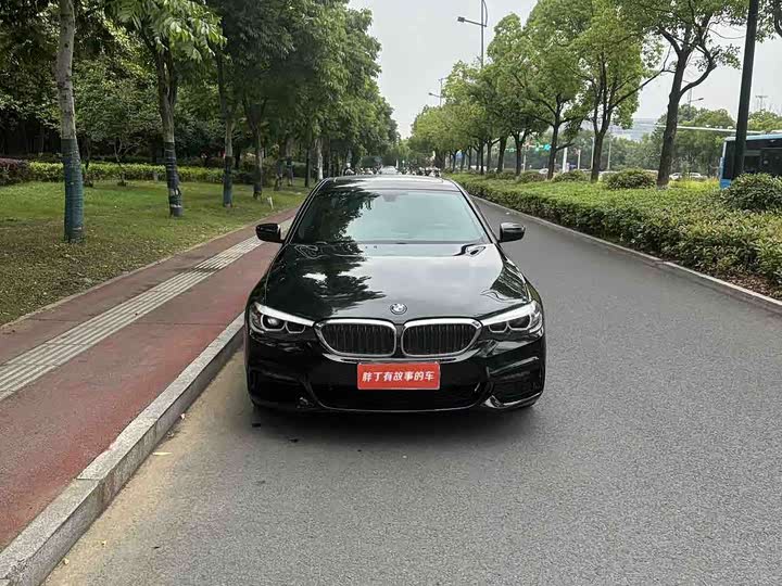 BMW 5-Series 2019 530 Li Leading M — фото 2