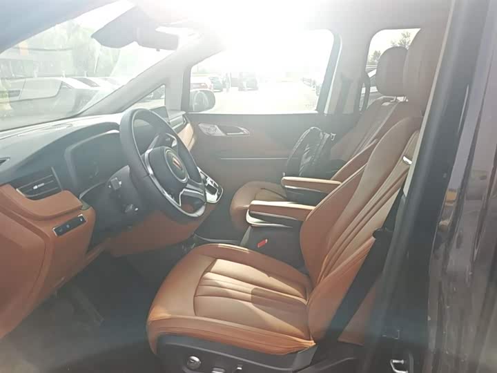 Hongqi HQ9 PHEV 2024 2.0 T 4 WD — фото 15