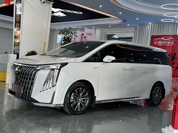 Trumpchi M8 2023 390 T — фото 11
