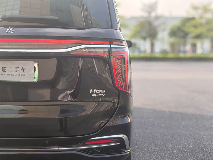 Hongqi HQ9 PHEV 2024 2.0 T 4 WD — фото 10