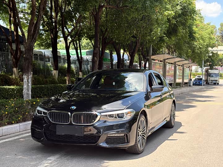BMW 5-Series 2019 530 Li Leading M