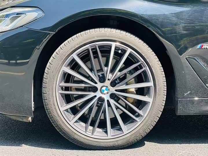 BMW 5-Series 2021 530 Li Leading M — фото 7