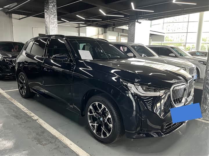 BMW X3 xDrive25L люкс-пакет — фото 3