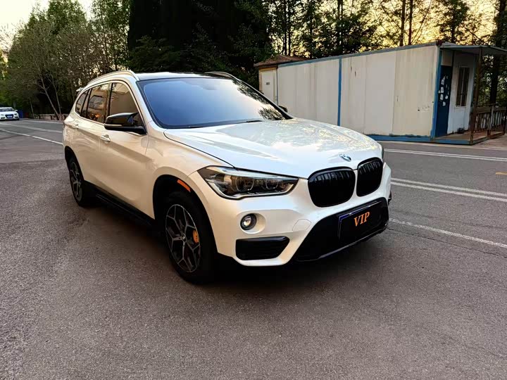 BMW X1 2016 x Drive 20 Li Luxury — фото 2