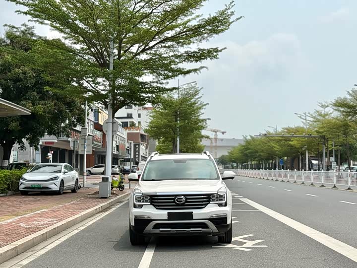 Trumpchi GS8 2017 320 T 2 WD ( ) — фото 2