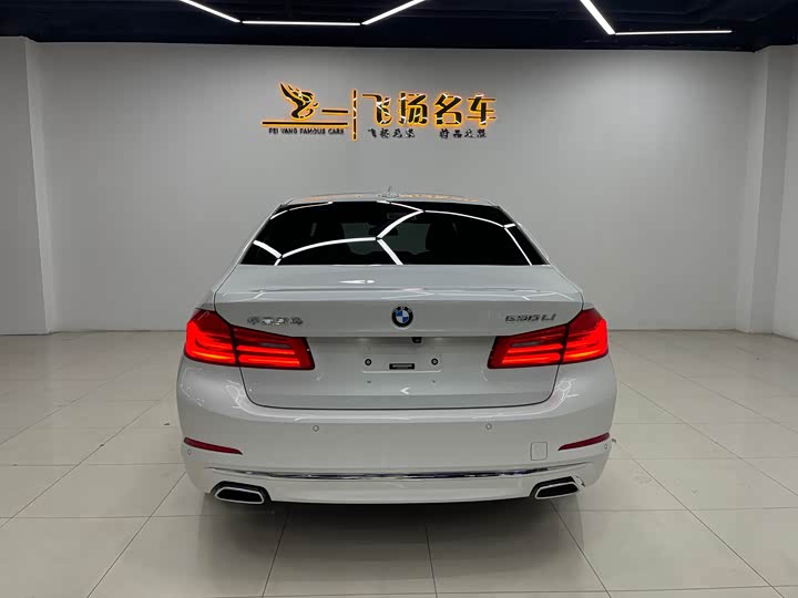 BMW 5-Series 2018 530 Li Leading — фото 15
