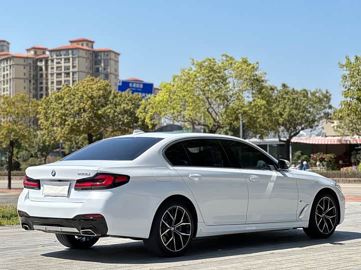 BMW 5-Series 2021 530 Li M — фото 6