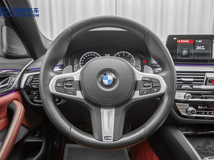 BMW 5-Series 2019 530 Li x Drive M — фото 15