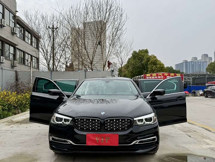 BMW 5-Series 2019 530 Li Leading — фото 3