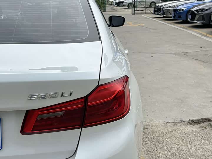 BMW 5-Series 2019 530 Li Leading M — фото 21