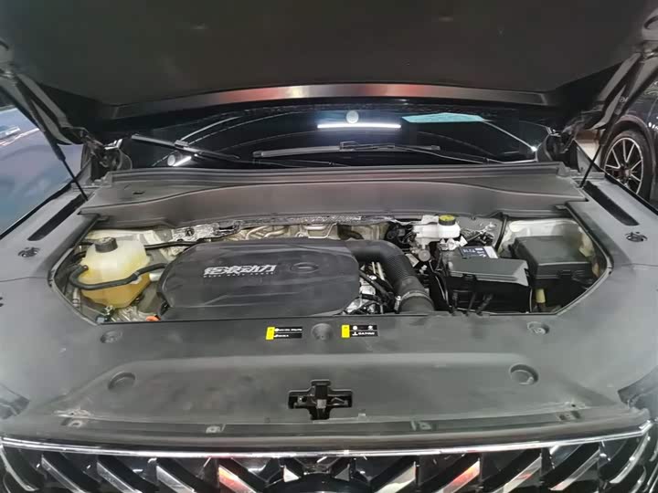 Trumpchi GS8 2022 2.0 TGDI 2 WD ( ) — фото 10