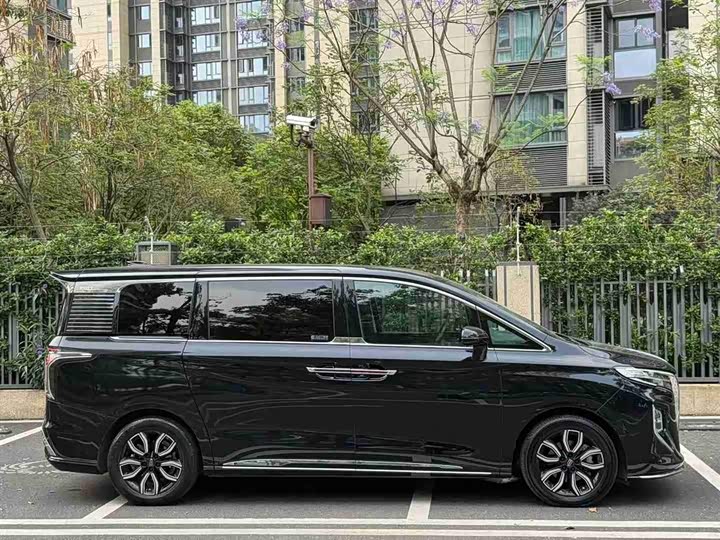 Hongqi HQ9 2023 2.0 T — фото 4