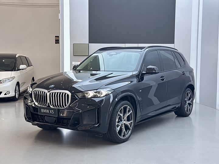 BMW X 5 2023 x Drive 30 Li M
