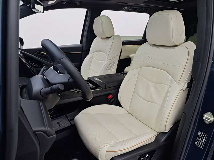 Trumpchi M8 2023 — фото 6