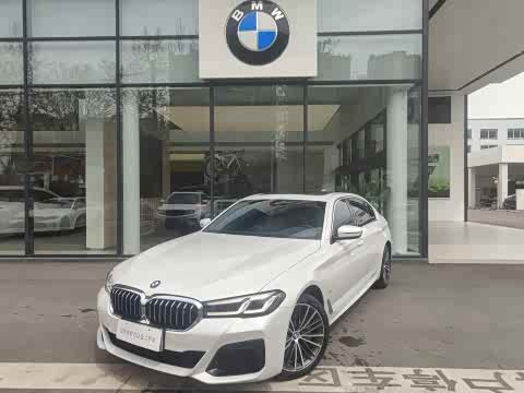 BMW 5-Series 2023 530 Li Leading M — фото 10