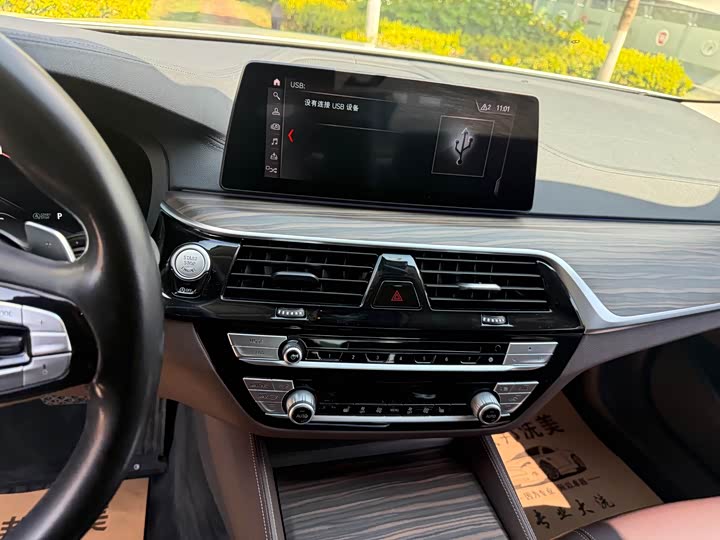 BMW 5-Series 2019 530 Li Leading — фото 23