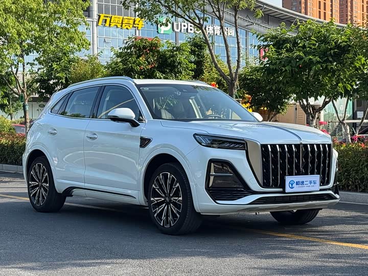 Hongqi HS5 2023 2.0 T Pro — фото 17