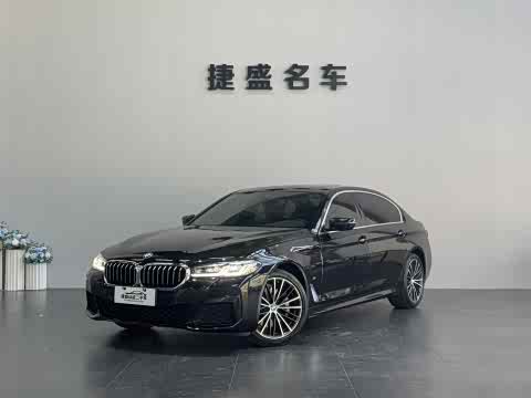 BMW 5-Series 2021 530 Li Leading M — фото 19