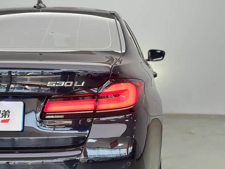 BMW 5-Series 2022 530 Li x Drive M — фото 14