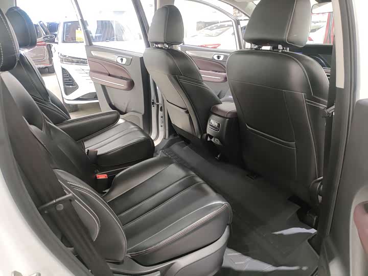 Trumpchi M6 2023 PRO 270 T DCT — фото 10