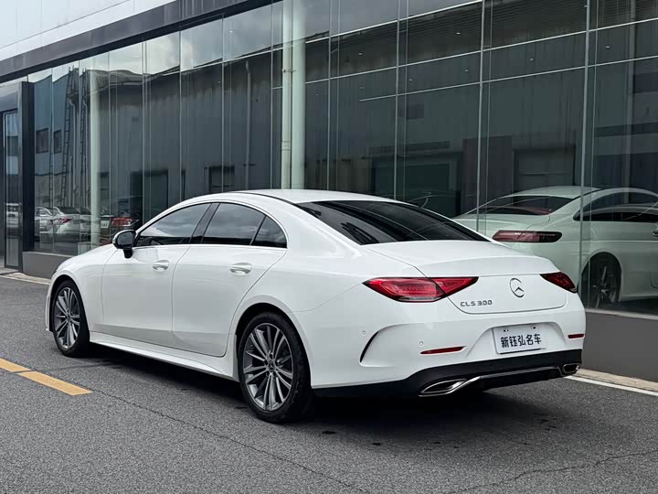 Mercedes-Benz CLS 2021 CLS 300 — фото 5