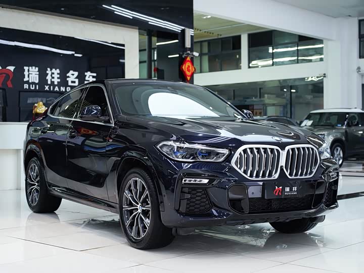 BMW X6 2020 x Drive 40i M — фото 18