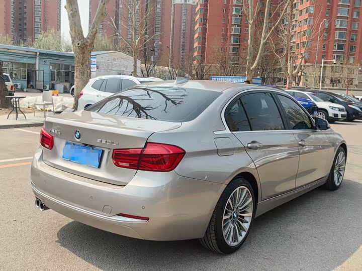 BMW 3-Series 2019 320 Li — фото 4