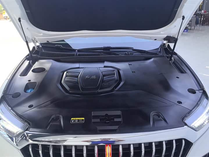 Hongqi HS5 2019 2.0 T 4 WD — фото 10