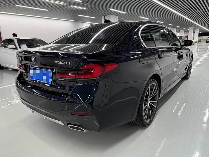 BMW 5-Series 2022 530 Li Leading M — фото 11