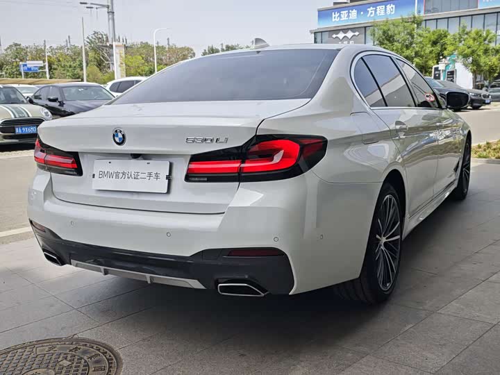 BMW 5-Series 2022 530 Li Leading M — фото 6