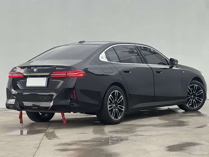 BMW 5-Series 2024 530 Li Leading M — фото 8
