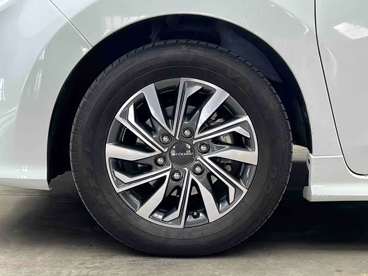 Maxus G20 2023 PLUS 2.0 T AT — фото 11