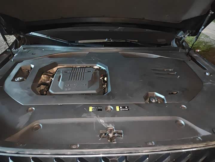 Trumpchi GS8 2022 2.0 TM 2 WD ( ) — фото 10