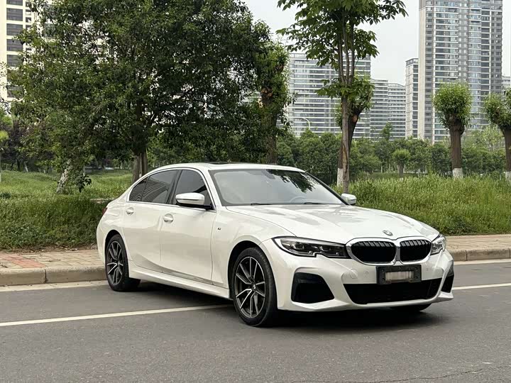 BMW 3 Series 320Li M спортпакет — фото 3