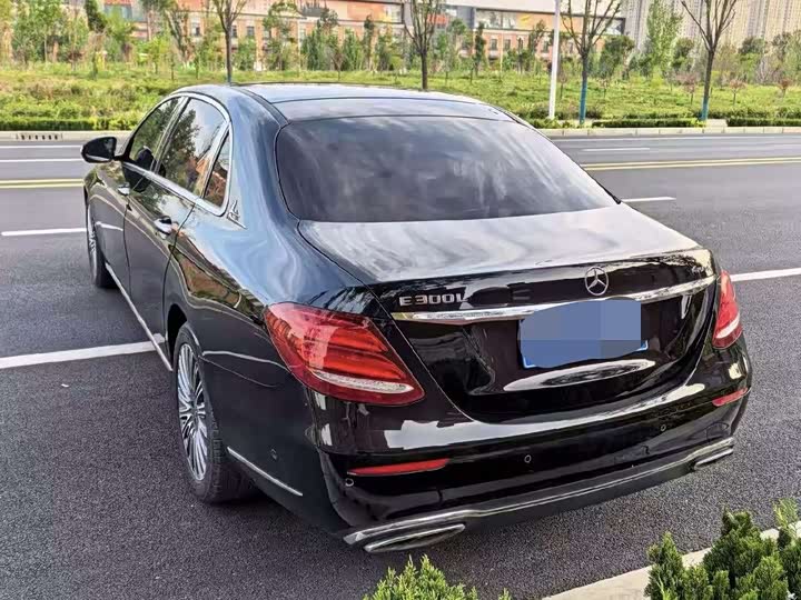 Mercedes-Benz E-Class 2019 E 300 L Luxury — фото 4